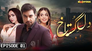 Dil e Gustakh  Episode 1  Faysal Quraishi  Yashma Gill  Faryal Mehmood  Ali Ansari  Express TV [upl. by Haimes703]