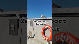 Nessebar  Yachts port travel shorts bulgaria [upl. by Nikos40]