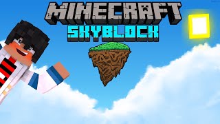 🏝️NOVO SERVIDOR de SKYBLOCK INOVADOR 119 BEDROCK E JAVA [upl. by Enaed]