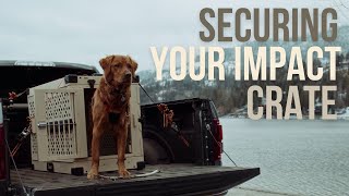 How To Secure Your Impact Dog Crate In A Truck Bed [upl. by Dorwin883]