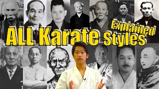 Karate Style Comparison Names amp Characteristics Explained [upl. by Nhabois]