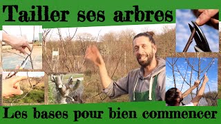 Tailler ses arbres Toutes les bases pour bien commencer [upl. by Byran]