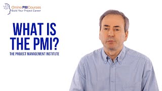 What is the PMI The Project Management Institute  PM in Under 5 [upl. by Wilber]