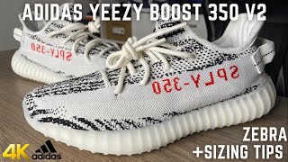 Adidas Yeezy 350 V2 Zebra 2022 On Feet Review [upl. by Domph260]