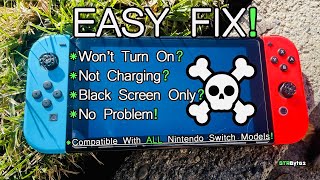 FIX ANY Nintendo Switch That Wont Charge Or Turn On  EASY FIX [upl. by Enixam233]