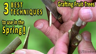 Grafting Fruit Trees  The 3 BEST Grafting Techniques for SPRING [upl. by Stasny]