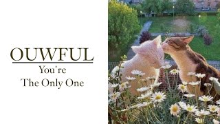 Ouwful  Youre The Only One [upl. by Nets]