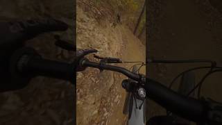 I almost had a huge crash on this high speed downhill trail windrockbikepark mtb mountainbiking [upl. by Hanshaw188]