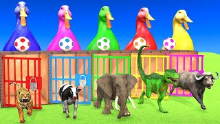 Long Slide Game With Elephant Gorilla Buffalo Hippopotamus Tiger  3d Animal Game  Funny 3d Animals [upl. by Conal683]