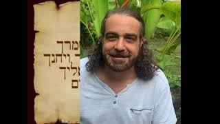 Naso  Insight into Blessings of Kohanim [upl. by Toiboid]