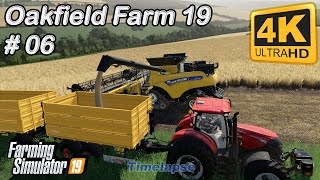 Oakfield Farm 19  Buying New Harvester Harvesting Soybeans amp Canola  FS19 TimeLapse 06  4K [upl. by Alejna]