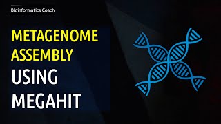 Metagenomics Assembly using Megahit [upl. by Sucramel986]