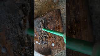 woodworm treatment agf ref [upl. by Eedna257]