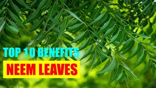 Neem Leaves Benefits – Neem Health Benefits for Skin  Hair Oil and Juice for Face Growth [upl. by Armanda132]