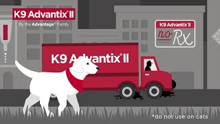 Walk the Streets without Fear with K9 Advantix® II [upl. by Aesoh]