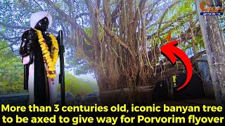 RIP 😢More than 3 centuries old iconic banyan tree to be axed to give way for Porvorim flyover [upl. by Ainos]