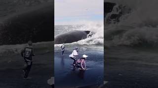 Horrifying Huge Whale Breaching near the Beach [upl. by Aleakam]