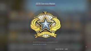 CSGO  2018 Service Medal  Counter Strike Global Offensive Badge Coin [upl. by Andee829]