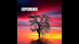 Experience  Ludovico Einaudi  violin and piano version  easy arrangement for violin [upl. by Lamak443]