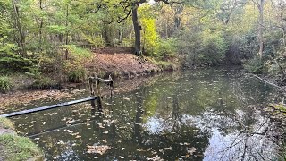 Walk from guisborough past Blue lake up to the Moors [upl. by Ahsrat]