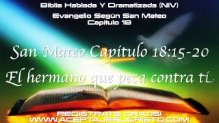 SAN MATEO  Capitulo 18 BIBLIA HABLADA Y DRAMATIZADA NVI [upl. by Ijok]