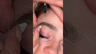 eyebrow tinting eyebrow waxing eye eyemakeupoftheday eyeshadowmake [upl. by Standice560]