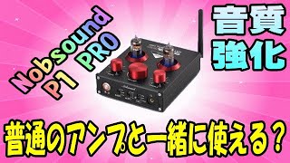 Nobsound P1 PRO レコードプレイヤーや他のアンプと接続出来る？ [upl. by Ahsinan]