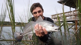 The Redfish Dock South Carolina Redfish Flounder and Spotted Seatrout Slam [upl. by Sello566]