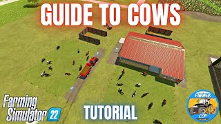 GUIDE TO COWS  Farming Simulator 22 [upl. by Adrahs]