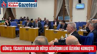 Güneş Ticaret Bakanlığı bütçe görüşmeleri üzerine konuştu [upl. by Karie573]