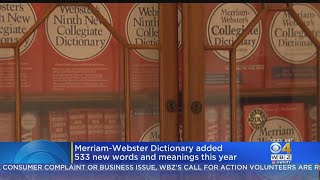 MerriamWebster Dictionary Added 533 New Words And Meanings This Year [upl. by Jewel]