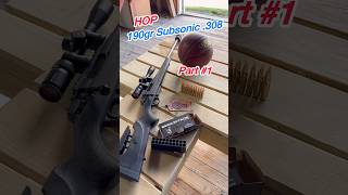 Subsonic Velocity 190gr 308 Speed Test HOPMunitions [upl. by Anina]