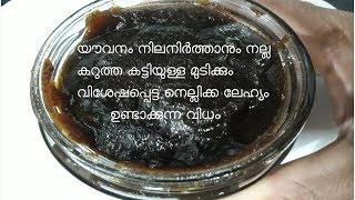 നെല്ലിക്ക ലേഹ്യം ഉന്മേഷവും ഉണർവും നേടാൻ How to Make Nellikka Lehyam [upl. by Drape]