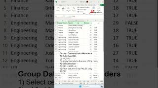 Group Dataset Real Fast In Excel  Excel Tips and Tricks [upl. by Modnar]