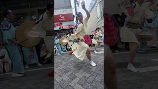 【若駒連・高円寺フェス】暴れ踊り 高円寺フェス 阿波おどり 高円寺 awaodori 祭り まつり [upl. by Garold]