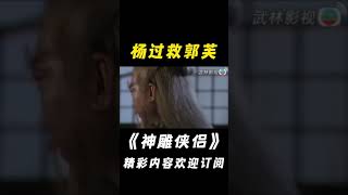 【神鵰俠侶1995】郭芙中計，楊過現身相救！shorts神鵰俠侶古天乐李若彤杨过小龙女 [upl. by Hoang]