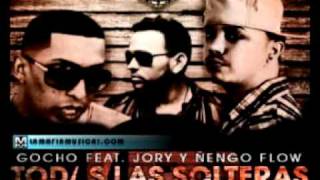 Todas las Solteras  Gocho FT Jory amp Ñengo Flow [upl. by Ahtnamys]