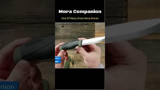 Mora Companion  A Great Budget Knife shorts [upl. by Bernard]