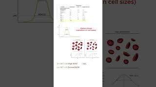 Red cell Distribution Width RDW [upl. by Nayarb]