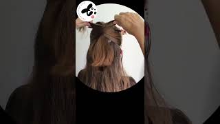 Coiffure chinoise pour cheveux mi longs hanwenshop hairtutorial chinastyle coiffurefacile [upl. by Suruat]