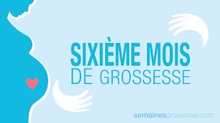 Sixième mois de grossesse  La grossesse mois par mois [upl. by Gleeson]