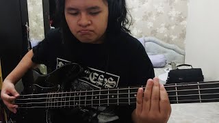 5 Seconds of Summer  No Shame Bass Cover [upl. by Aitnic156]