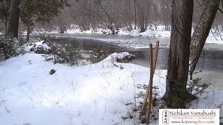 Chi Kata avec deux bokken et mains nues par Nichiken Yamabushi [upl. by Ttenneb]