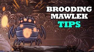 How To Beat Brooding Mawlek  Hollow Knight [upl. by Utta]