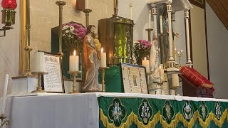 Traditional Latin Mass Kelmscott WA is live 13th Sunday After Pentecost Sunday 18th August 2024 [upl. by Aninahs988]