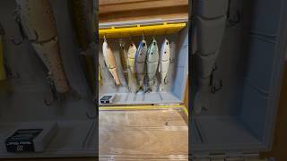 Plano EDGE 3700 SWIMBAIT BOX keeps your TAILS STRAIGHT stripedbass yakventures [upl. by Aryhs275]