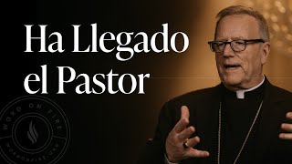 Ha Llegado el Pastor  Sermón del Domingo del obispo Robert Barron [upl. by Hurd813]