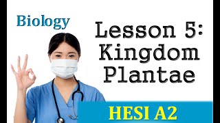 HESI Biology Review  Lesson 5 Kingdom Plantae [upl. by Arbba647]