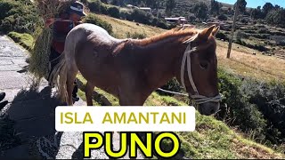 ISLA AMANTANI  Lago titicaca PUNO PERÚ 🇵🇪 totalmente Aislado del mundo [upl. by Runkle]