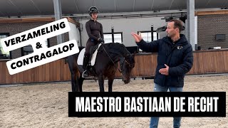 DE BESTE TIPS VOOR CONTRAGALOP VAN BASTIAAN DE RECHT [upl. by Heilman948]